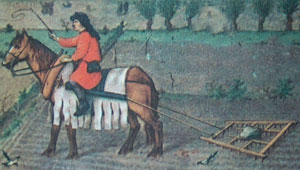 Farmer at the harrows with horse